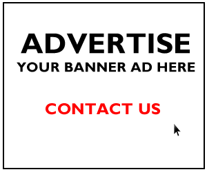 - Advertisement -